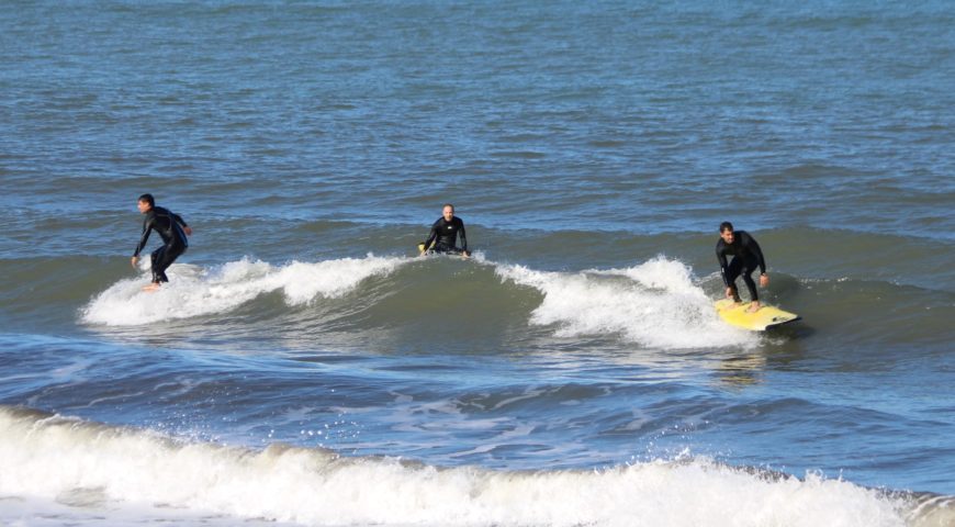 surfingchania